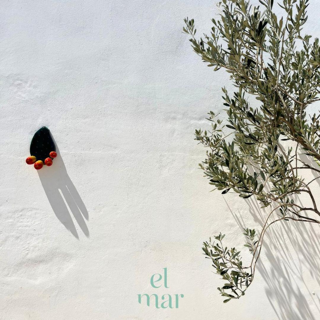 El-Mar Locazione Turistica House With Exclusive Terrace Appartement Polignano a Mare Buitenkant foto