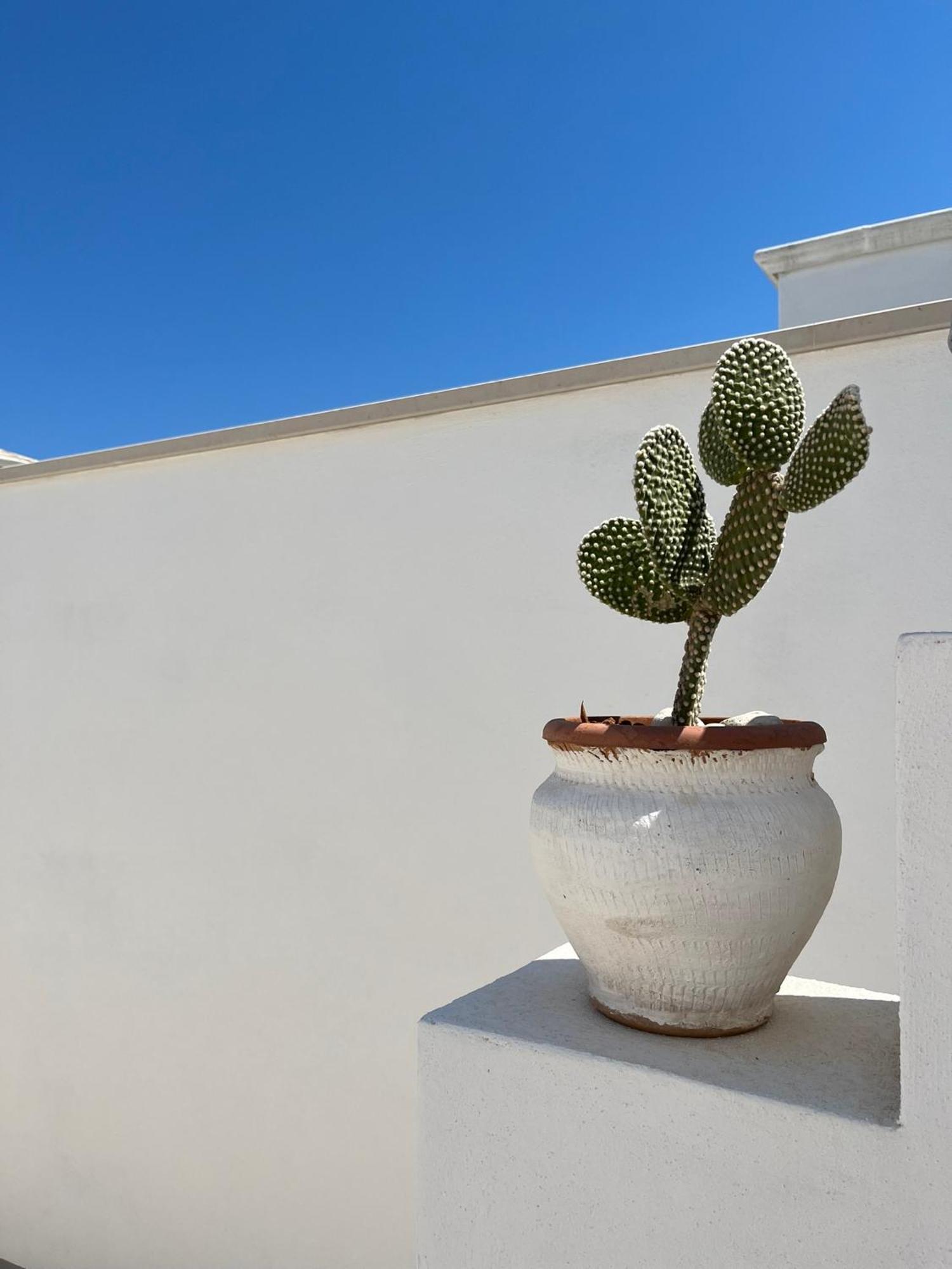 El-Mar Locazione Turistica House With Exclusive Terrace Appartement Polignano a Mare Buitenkant foto